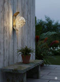🌟 Galaxy Glow Wall Lamp – Modern Crystal Orb LED Light for Living Room, Bedroom & Hallway